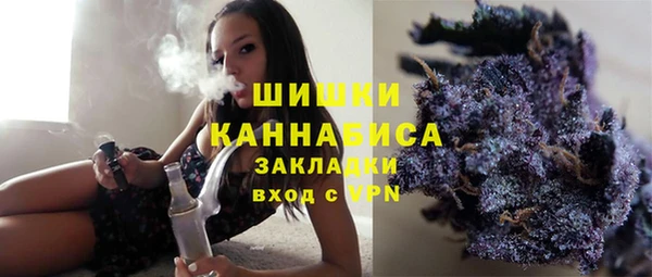 ГАЛЛЮЦИНОГЕННЫЕ ГРИБЫ Арсеньев