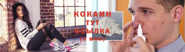 ГАЛЛЮЦИНОГЕННЫЕ ГРИБЫ Арсеньев