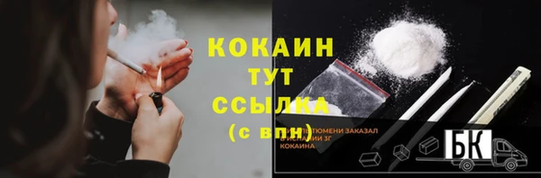 прущие грибы Балахна