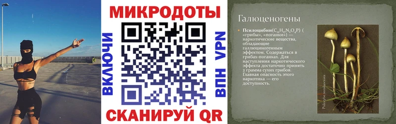 hydra tor  Шадринск  shop официальный сайт  Псилоцибиновые грибы MAGIC MUSHROOMS 